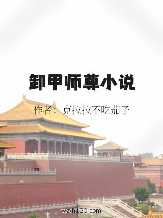 卸甲师尊小说