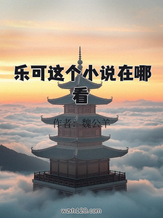 乐可这个小说在哪看