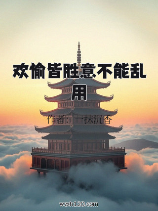 欢愉皆胜意不能乱用