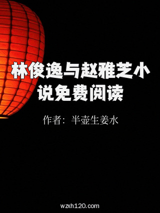 林俊逸与赵雅芝小说免费阅读