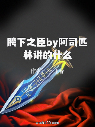 胯下之臣by阿司匹林讲的什么