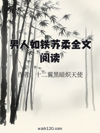 男人如铁苏柔全文阅读