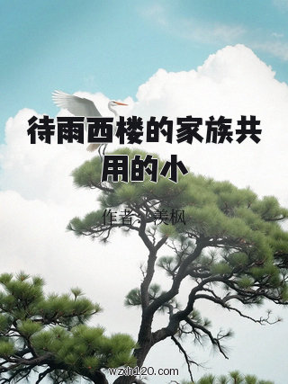 待雨西楼的家族共用的小