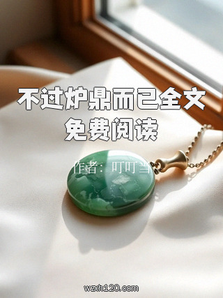 不过炉鼎而已全文免费阅读