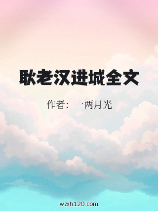 耿老汉进城全文