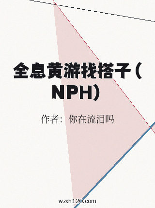 全息黄游找搭子(NPH)
