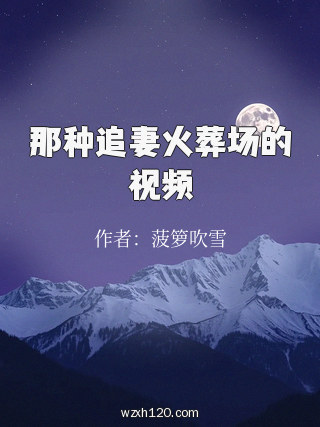 那种追妻火葬场的视频