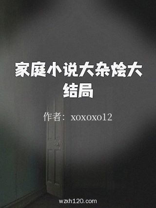 家庭小说大杂烩大结局