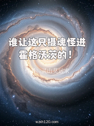 谁让这只摄魂怪进霍格沃茨的!