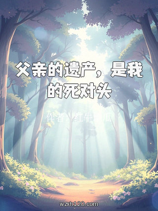 父亲的遗产,是我的死对头