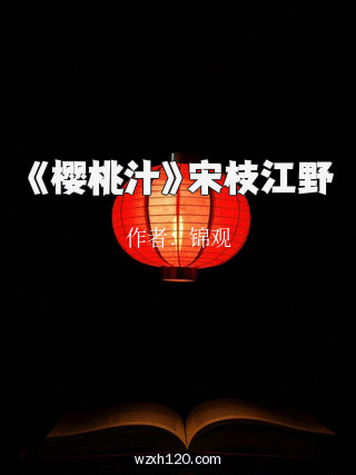 《樱桃汁》宋枝江野