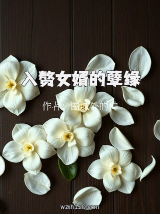 入赘女婿的孽缘