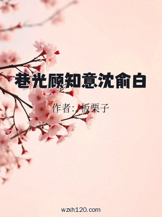 巷光顾知意沈俞白