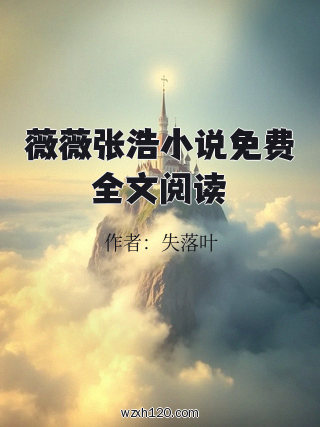 薇薇张浩小说免费全文阅读