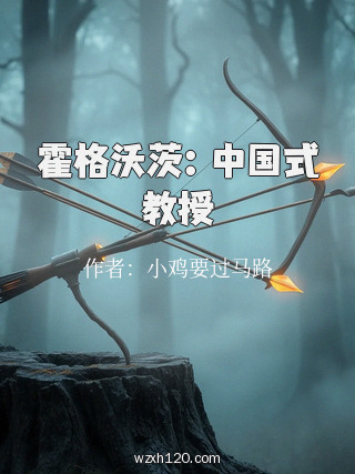 霍格沃茨:中国式教授