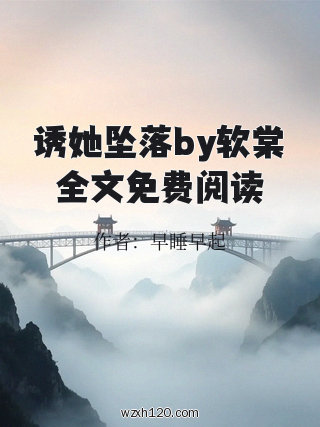 诱她坠落by软棠全文免费阅读