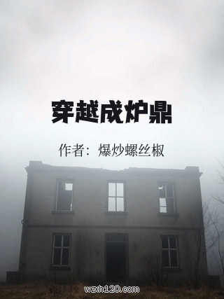 穿越成炉鼎
