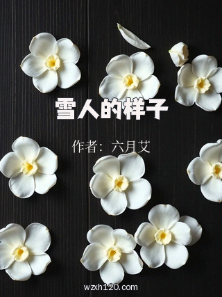 雪人的样子