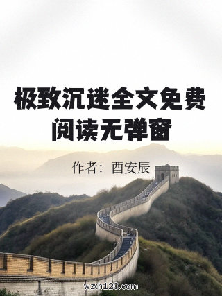 极致沉迷全文免费阅读无弹窗