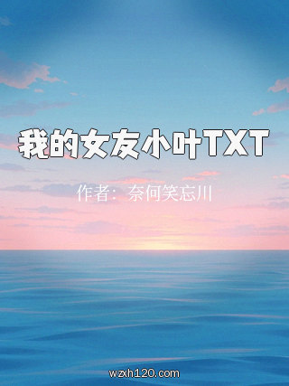 我的女友小叶TXT