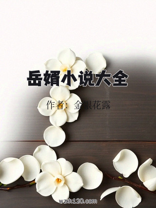 岳婿小说大全