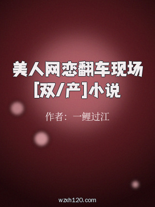 美人网恋翻车现场[双/产]小说