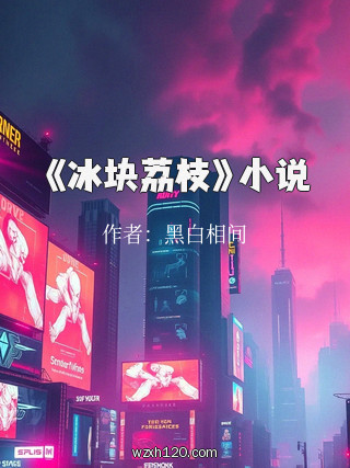 《冰块荔枝》小说