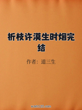 折枝许漠生时烟完结