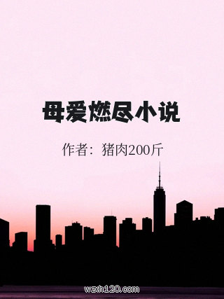 母爱燃尽小说