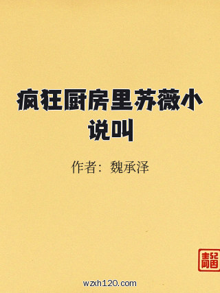 疯狂厨房里苏薇小说叫