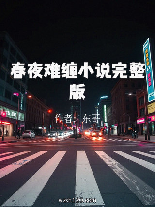 春夜难缠小说完整版