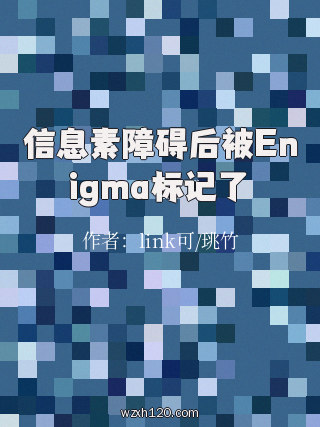 信息素障碍后被Enigma标记了