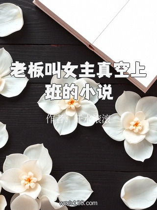 老板叫女主真空上班的小说