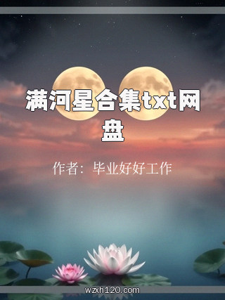 满河星合集txt网盘
