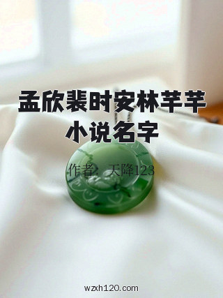 孟欣裴时安林芊芊小说名字