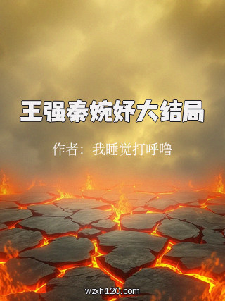 王强秦婉妤大结局