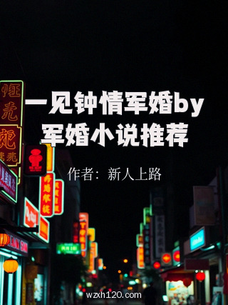 一见钟情军婚by军婚小说推荐