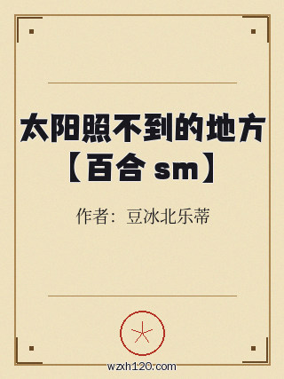 太阳照不到的地方【百合 sm】