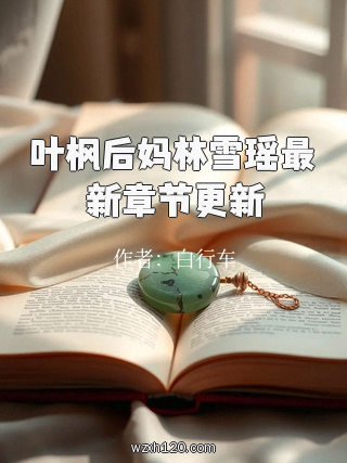 叶枫后妈林雪瑶最新章节更新