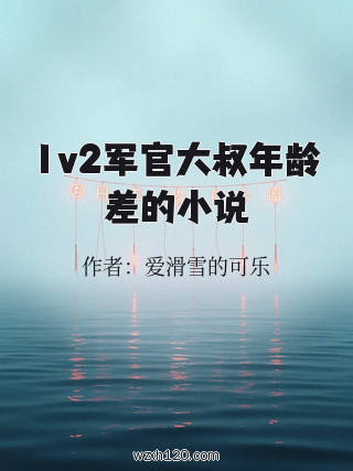 1v2军官大叔年龄差的小说