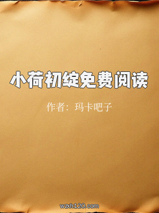 小荷初绽免费阅读
