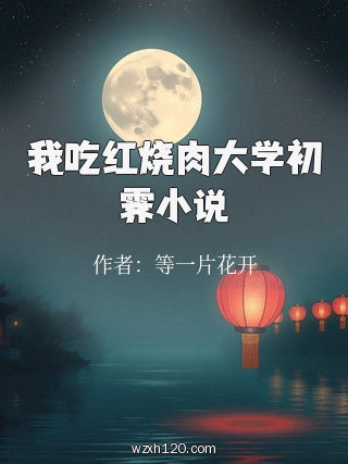 我吃红烧肉大学初霁小说