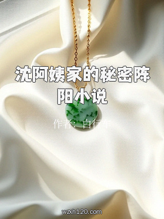 沈阿姨家的秘密陈阳小说