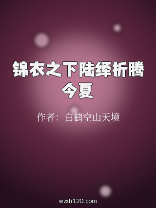 锦衣之下陆绎折腾今夏