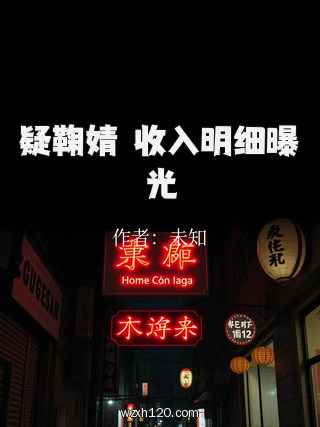 疑鞠婧祎收入明细曝光