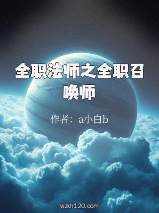 全职法师之全职召唤师