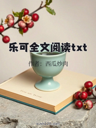 乐可全文阅读txt