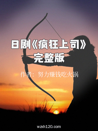 日剧《疯狂上司》完整版