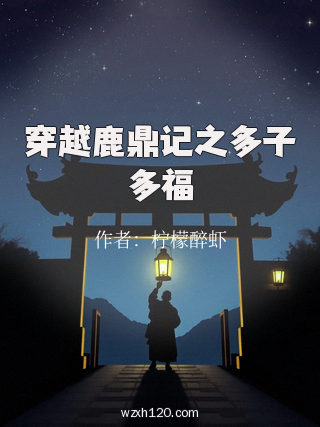 穿越鹿鼎记之多子多福