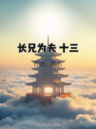 长兄为夫 十三